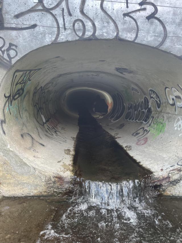 Reid Manor Drain photo 2