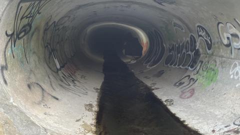 Photo from Crouchathon