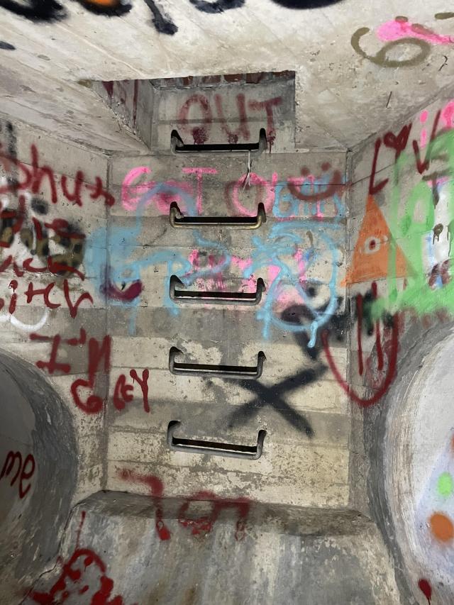 Reid Manor Drain photo 4