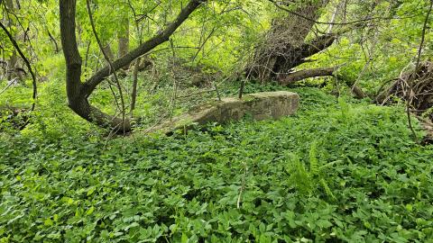 A Stone Wall or Two cover photo