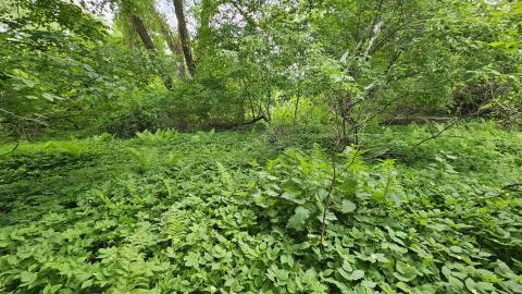 Way Back When - 52af6b1e-7b34-4f0e-9d93-667bdd20b532.jpg