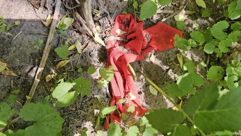 Way Back When - 52178185-d9e4-4710-8ae8-ffc043d87c98.jpg