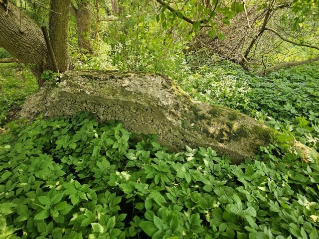 A Stone Wall or Two photo 4