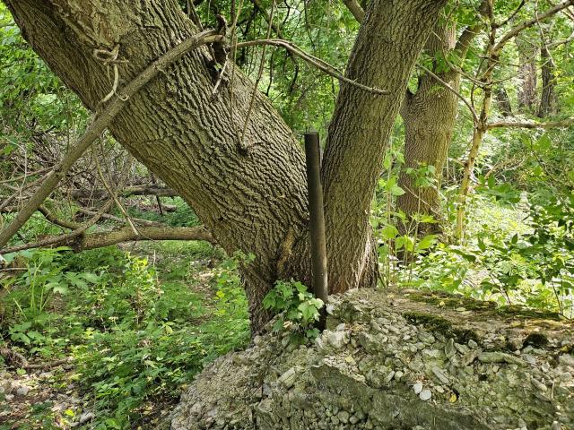 A Stone Wall or Two photo 3