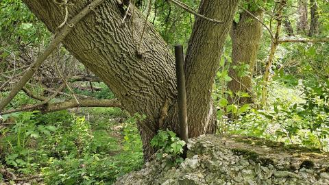 Photo from Way Back When