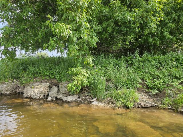 A Stone Wall or Two photo 2