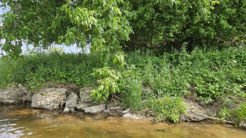 Photo from Way Back When