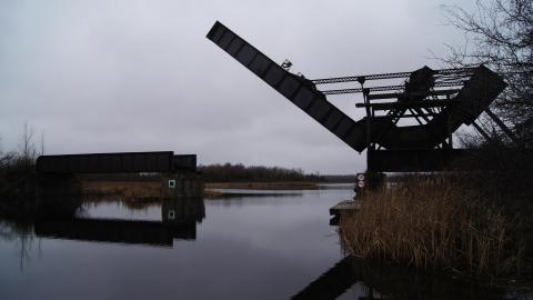 Suspended Between Two Shores cover photo