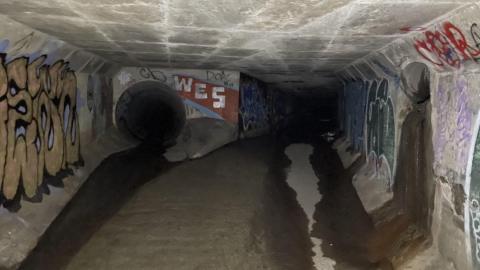 Photo from Mimico creek drain