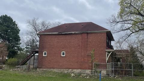 Photo from Cobra Chicken