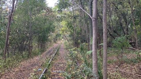 Broken Board Road - de477e62-7941-4265-a0bf-10417e3be0a5.jpeg