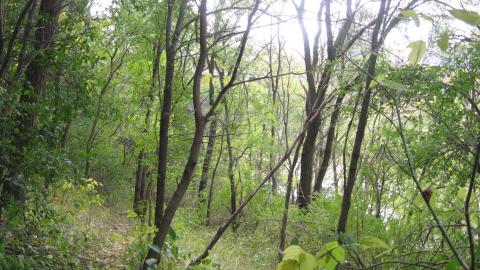 A Full Walkthrough cover photo