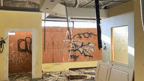 Black Mold Supreme - b3d71a84-eff8-4fdb-be67-ddc8a960a78d.jpeg