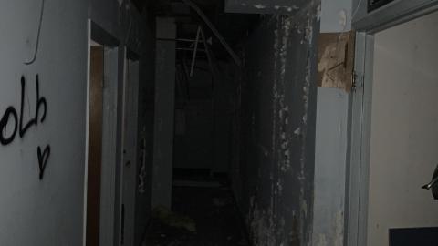 Black Mold Supreme - ece1b0e0-e674-428a-9e95-5182d2b65c6d.jpeg