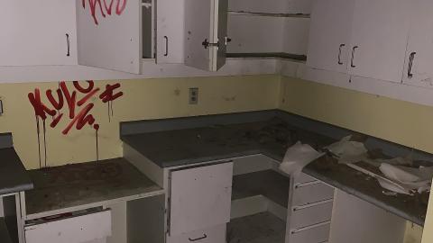 Black Mold Supreme - 701dbacf-e872-445d-9a74-c12a37ca4c52.jpeg