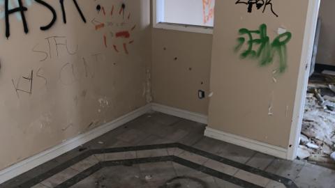 Black Mold Supreme - 5c87e95c-287b-4b69-bef3-bb4b9b64464d.jpeg