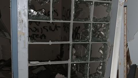 Black Mold Supreme - a79f652e-a144-4393-85eb-97f591b10c88.jpeg