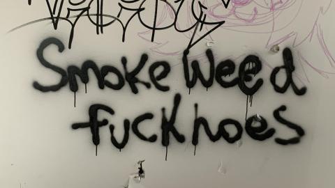 Black Mold Supreme - f58dfc7a-27ac-46ae-b2d7-9d14086e56b9.jpeg
