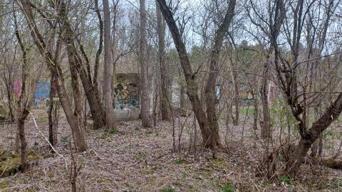 Photo from Palmer Home 26