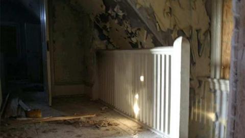 Photo from 282 Crichton