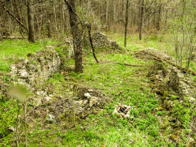 Hyde Tract Ruins photo 2