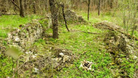 Photo from Hyde Tract Ruins