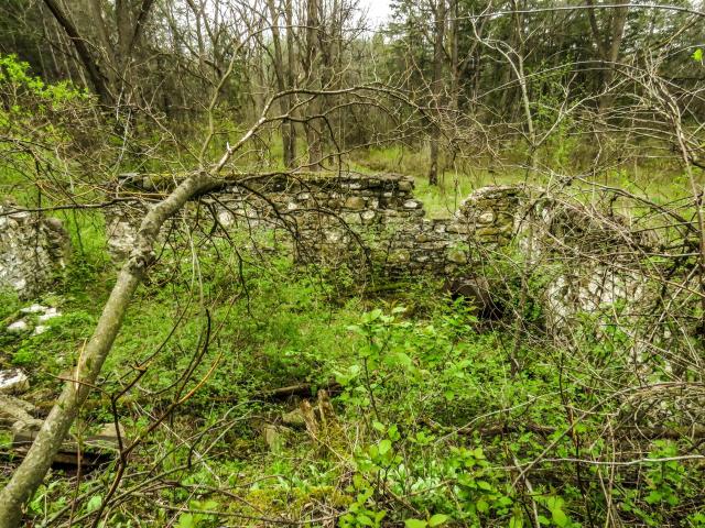 Hyde Tract Ruins photo 4