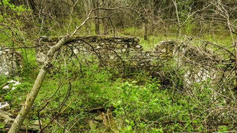 Photo from Hyde Tract Ruins