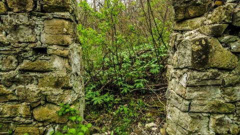 Hyde Tract Ruins cover photo