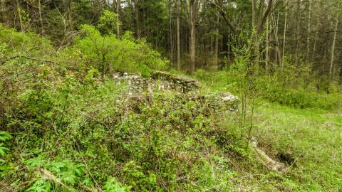 Hyde Tract Ruins - 690e9928-b396-4aa5-8440-230a27eec968.jpg