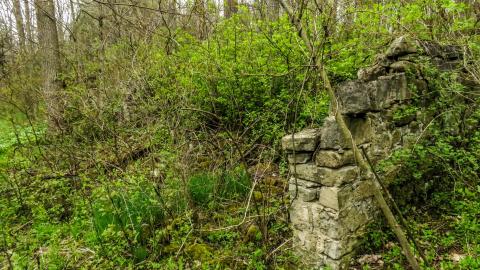 Hyde Tract Ruins - 99a65779-312b-4708-92e6-9595bdfe99f0.jpg