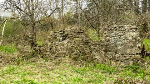 Hyde Tract Ruins - 988932f4-2075-4149-ab7b-3593c5d08482.jpg
