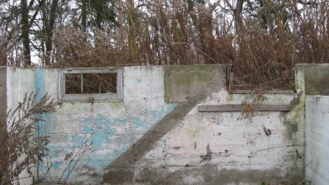 But Are Foundations Really That Interesting? - 139ba4be-55cb-4bf7-b12a-77ed9a95cfe5.jpg