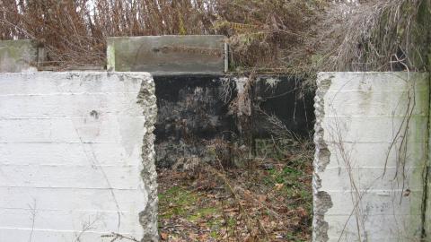 But Are Foundations Really That Interesting? - e03b2a07-1043-4b74-af86-67a7e18136ad.jpg