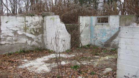 But Are Foundations Really That Interesting? - 64978d7a-7a25-4f07-97a2-360364d03d51.jpg
