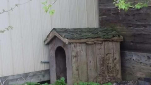 April 2012 - Levis-Hangout2.jpg