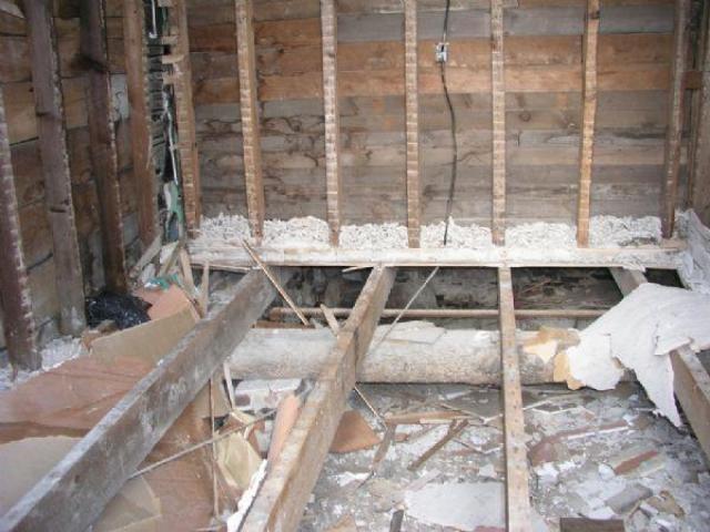 Gallery - P1010021b.jpg