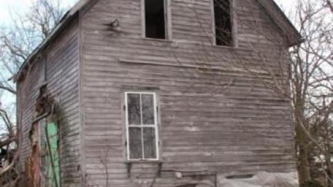 Gallery - P1010023b.jpg