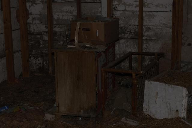 Long Time Forgotten photo 4