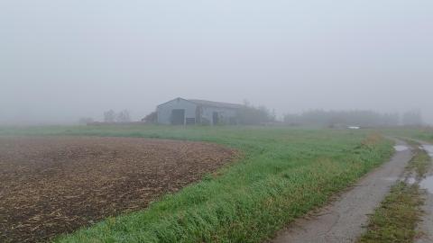 Harvest of Fog - f505160d-ddc9-4275-9dce-5ca159fbaf4a.jpg