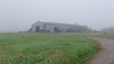 Harvest of Fog - 2ca0a914-c532-4948-a8cb-e1ff20932540.jpg