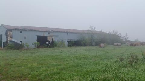 Harvest of Fog - 7b49b702-d8aa-41b4-a5dc-bb327bf11dc0.jpg