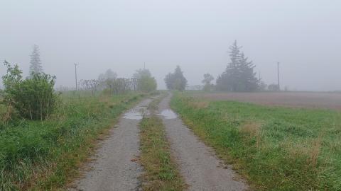 Harvest of Fog - 5d9e98f0-250d-46e4-9bcc-e071f39a61a0.jpg