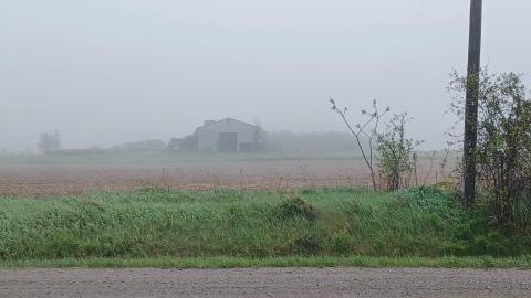 Harvest of Fog - d19cb804-1cb1-4b65-97bb-79443cf02707.jpg