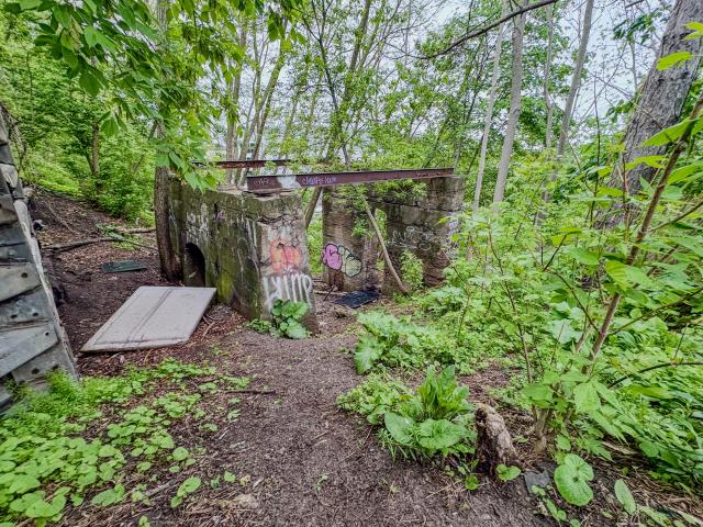 The Hedley-Shaw Flour Mill Ruins photo 2