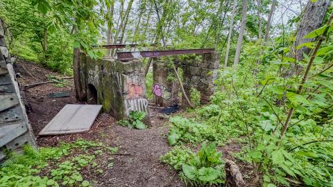 The Hedley-Shaw Flour Mill Ruins cover photo