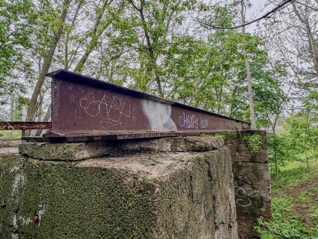 The Hedley-Shaw Flour Mill Ruins photo 4
