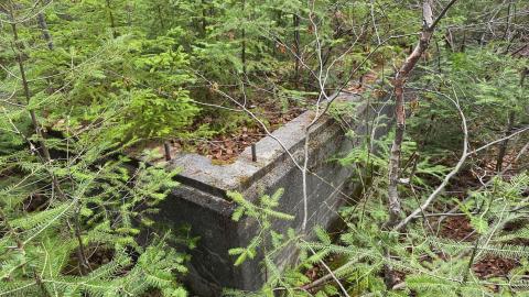 Hosco Mine - 417504d5-217c-4144-9e17-218a7408a4e8.jpg