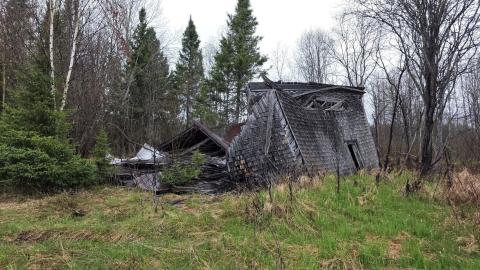 SwampHouse - 3341bbe2-4824-469b-b614-d07e925b896b.jpg