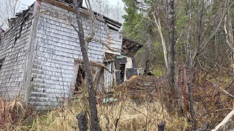 SwampHouse - 7bf44a53-97e4-4b91-9d29-d09265aec76f.jpg